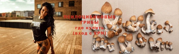 гидропоника Мегион