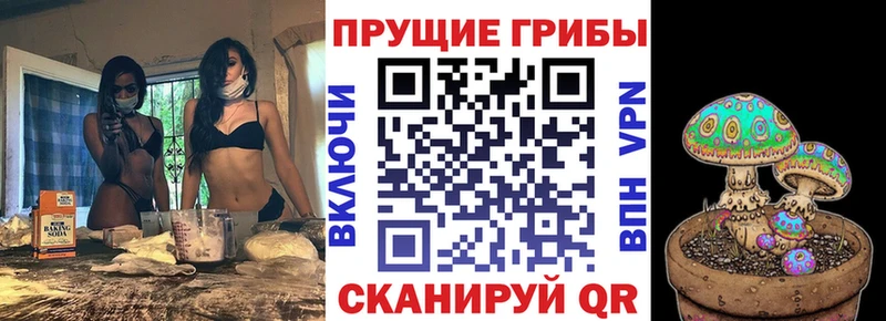 Галлюциногенные грибы Psilocybine cubensis  Комсомольск-на-Амуре 