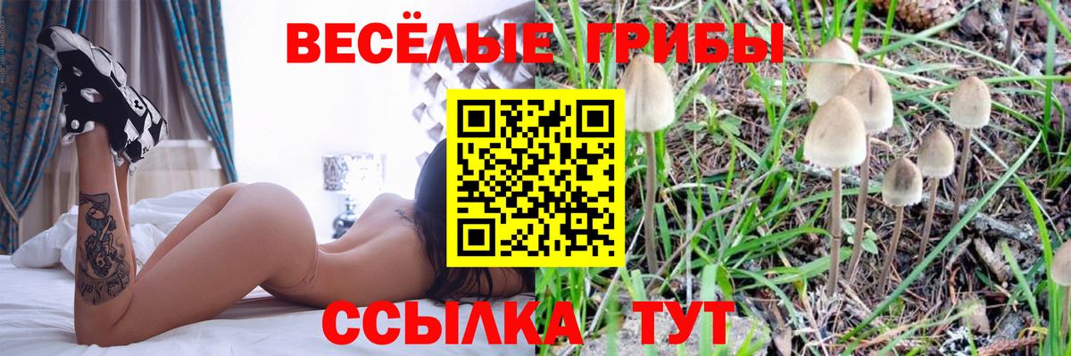 Комсомольск-на-Амуре  Галлюциногенные грибы Magic Shrooms  наркошоп  Вход с VPN 